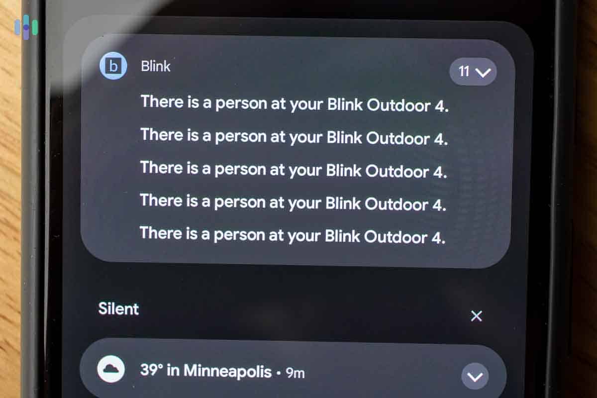 Blink app’s mobile notifications Blink app's mobile notifications