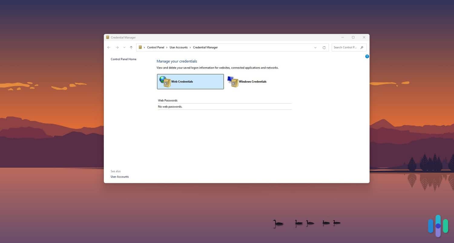 The Credential Manager application on Windows 11 The Credential Manager application on Windows 11